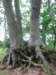 fwskanseniewklukach20117_small.jpg