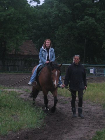 gwstadniniekoni201110.jpg