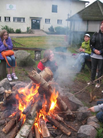 gwstadniniekoni201119.jpg
