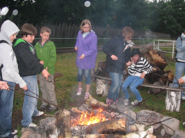 gwstadniniekoni201123.jpg