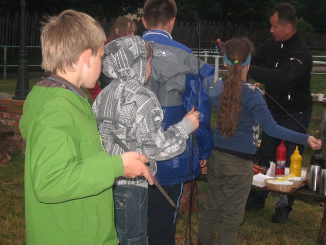 gwstadniniekoni201124.jpg