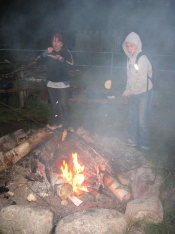 gwstadniniekoni201126.jpg