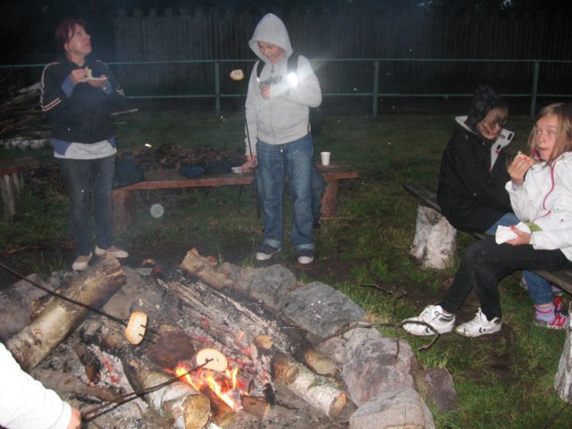 gwstadniniekoni201127.jpg