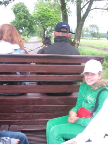 gwstadniniekoni20113.jpg