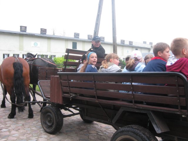gwstadniniekoni20114.jpg