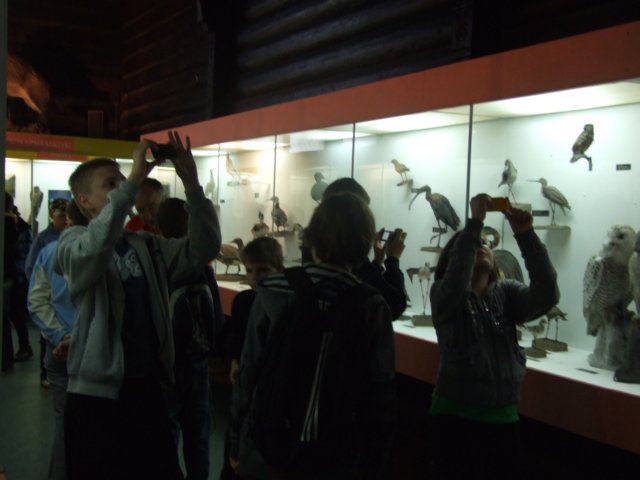 bjeleniagra10v201123.jpg