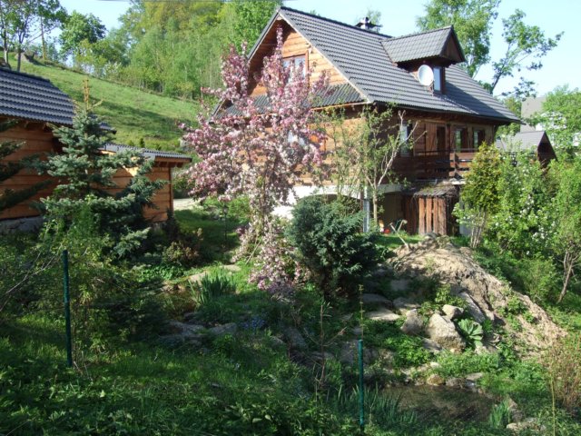 ckarpacz10v2011107.jpg