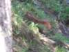 ckarpacz10v201119_small.jpg