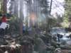 ckarpacz10v201146_small.jpg