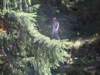 ckarpacz10v201168_small.jpg