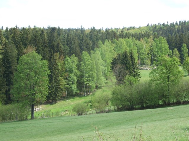 dszklarskaporba11v201159.jpg