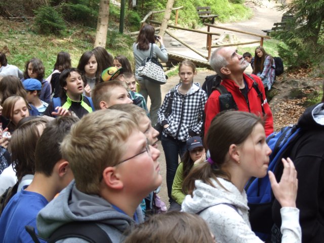 gskalnemiasto12v201137.jpg