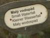 gskalnemiasto12v201139_small.jpg