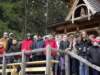 cjaszczurwkaiv201112_small.jpg
