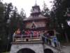 cjaszczurwkaiv201113_small.jpg