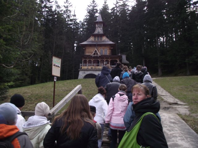 cjaszczurwkaiv20112.jpg