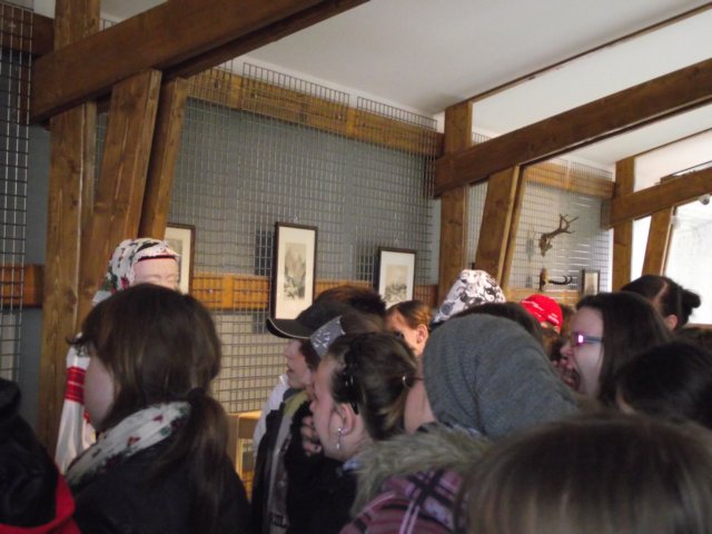 dmuzeumprzyrodniczewzakopanemiv201112.jpg