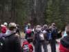 dmuzeumprzyrodniczewzakopanemiv20112_small.jpg
