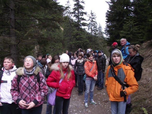 edolinastryskaiv201112.jpg