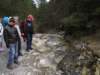 edolinastryskaiv201117_small.jpg