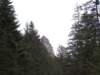 edolinastryskaiv201118_small.jpg