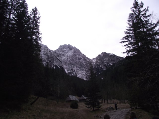 edolinastryskaiv201119.jpg