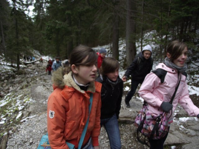 edolinastryskaiv201123.jpg