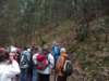 edolinastryskaiv20115_small.jpg