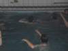 jbasenwnaszymorodkuiv201114_small.jpg