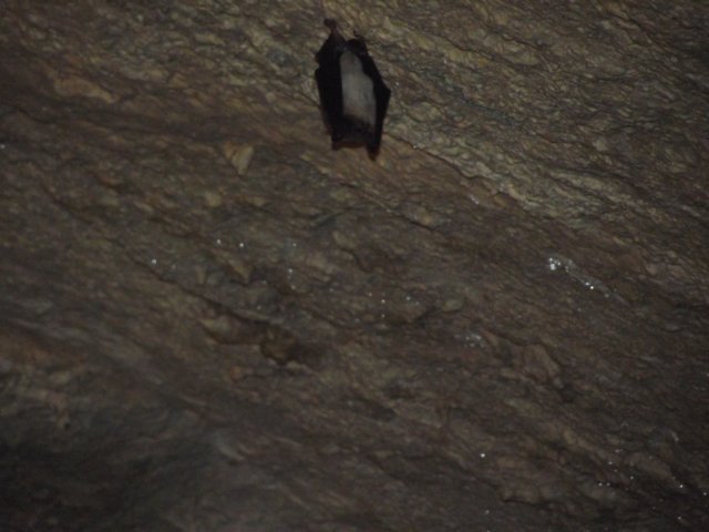 kjaskiniabelianskaiv201166.jpg