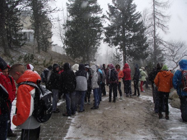 lszczyrpskieplesoiv2011.jpg