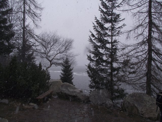 lszczyrpskieplesoiv201110.jpg