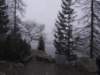 lszczyrpskieplesoiv201110_small.jpg