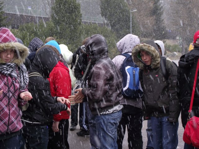 lszczyrpskieplesoiv20112.jpg