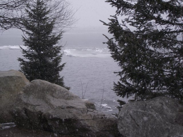 lszczyrpskieplesoiv20119.jpg