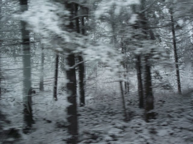 mzimawkwietniu201111.jpg