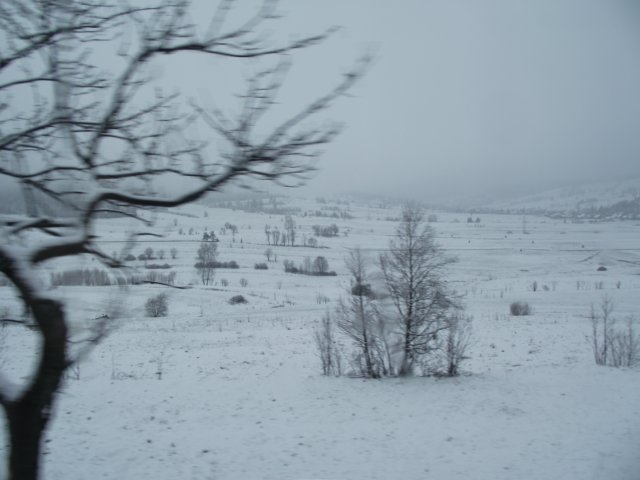mzimawkwietniu20115.jpg