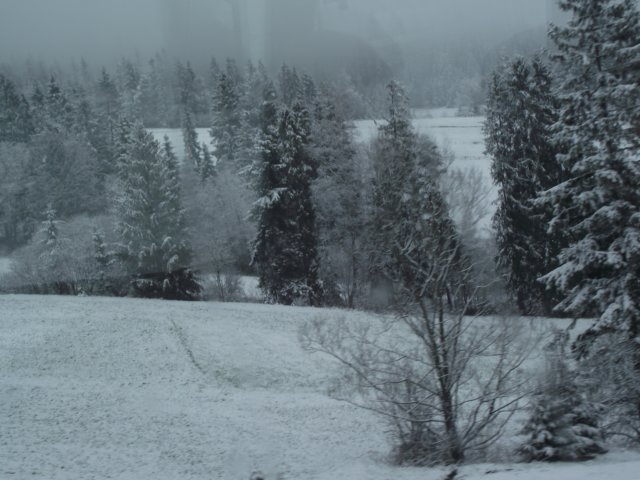 mzimawkwietniu20118.jpg