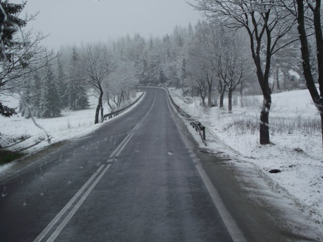 mzimawkwietniu20119.jpg