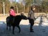 kuligwjulinku2011101_small.jpg