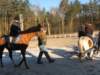 kuligwjulinku2011102_small.jpg
