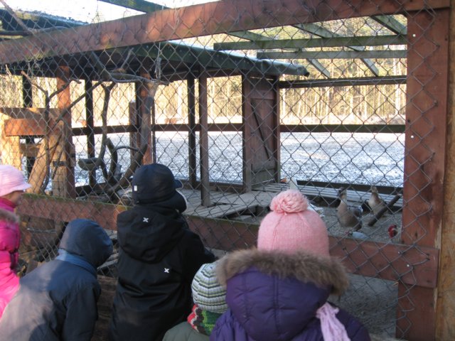 kuligwjulinku2011109.jpg