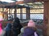 kuligwjulinku2011109_small.jpg