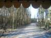 kuligwjulinku201110_small.jpg