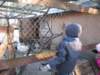 kuligwjulinku2011110_small.jpg