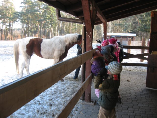 kuligwjulinku2011115.jpg