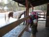 kuligwjulinku2011115_small.jpg