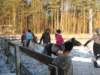 kuligwjulinku2011117_small.jpg