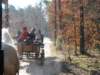 kuligwjulinku2011125_small.jpg