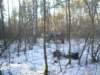 kuligwjulinku201116_small.jpg